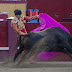 Imagens da corrida mista das Sanjoaninas 2017 em Angra