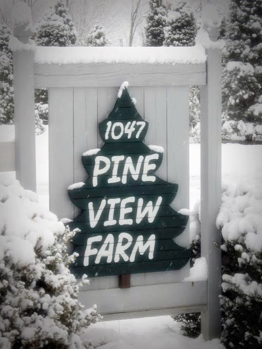 Christmas Trees Medina County Ohio