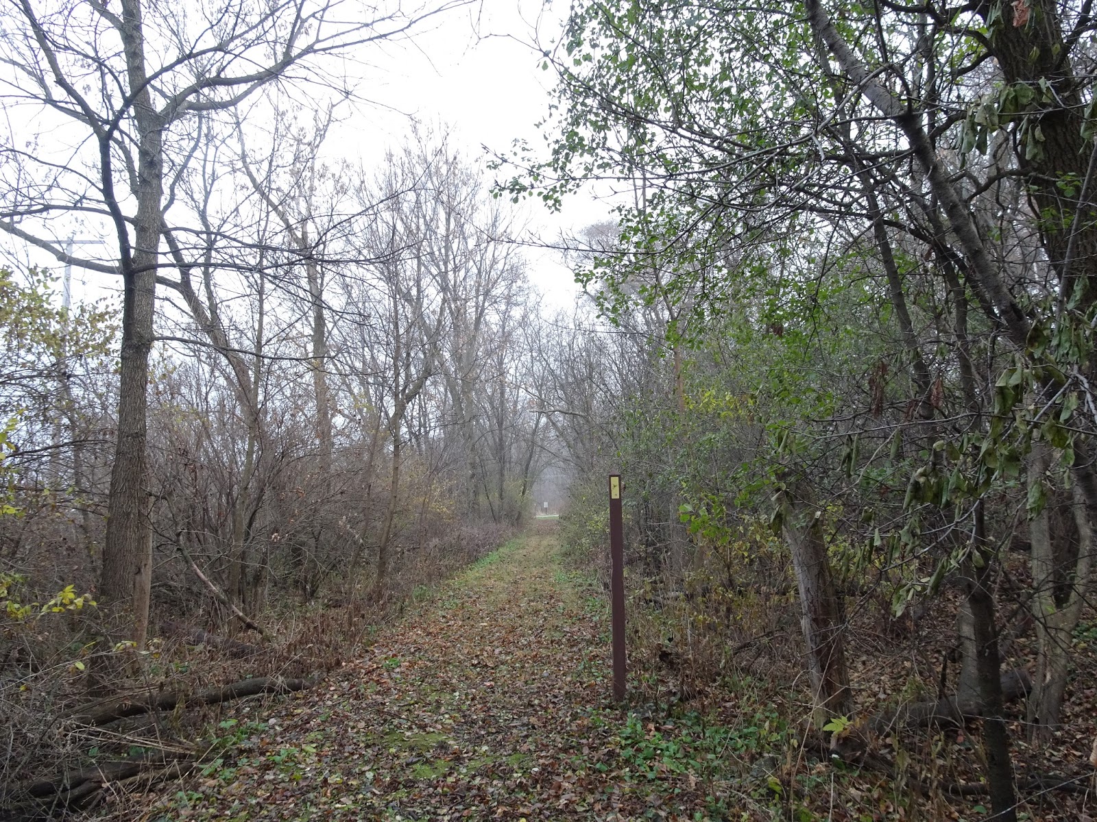 Mama's Basecamp Milton Segment of the Ice Age Trail