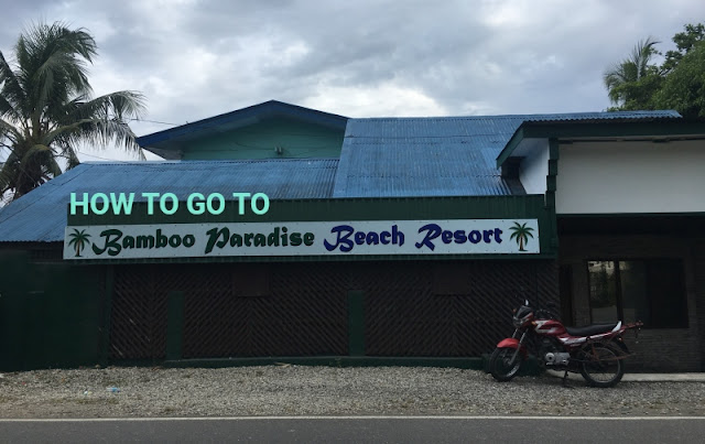 How to go to Bamboo Paradise Beach Resort Argao Cebu