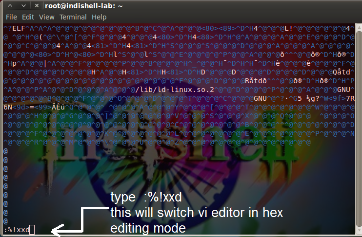 vi text editor vi text editor