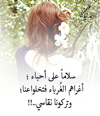 نقره لعرض الصورة في صفحة مستقلة