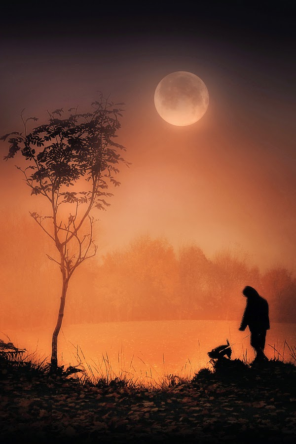 Ajmal Sowar اجدد و احلى خلفيات موبايل 2015