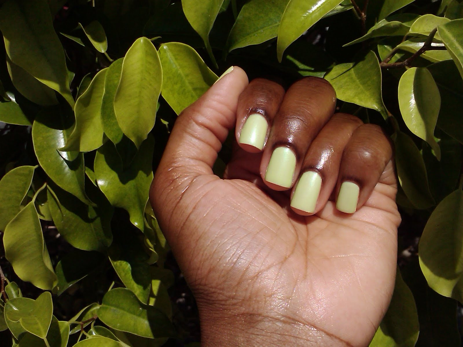 Sally Hansen Chartreuse Chase- Mani of the week