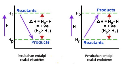 Reaksi Eksoterm Dan Endoterm