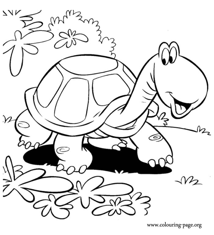 Coloring Turtle Parking Rules of the Jungle Turtle Pictures to Print and Color