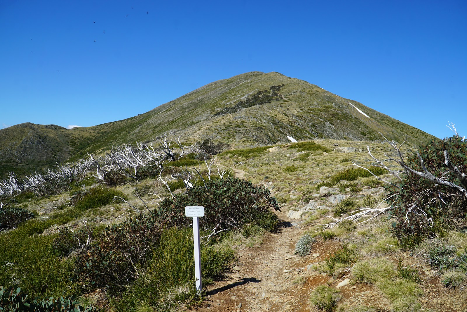 Mt Feathertop via the Razorback (Alpine NP) The Long Way's Better