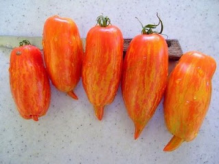 Gastronomía a Libreta Abierta, [=I=]: Tipos de Tomates