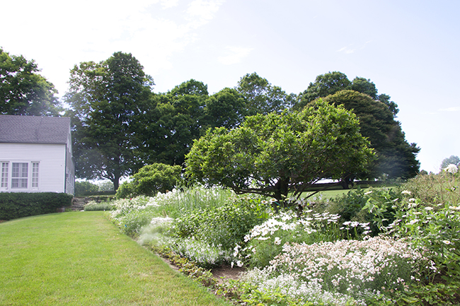 Tone On Tone Interior Garden Design Our White Border Garden