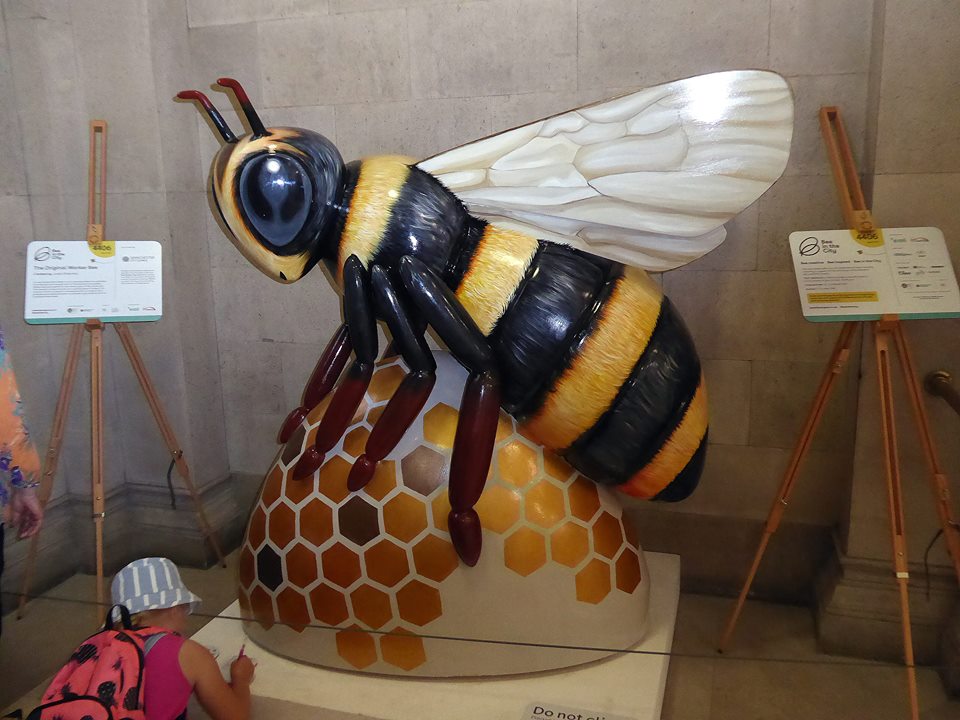 Andrew Simpson In the company of the Manchester Bees.. no.10