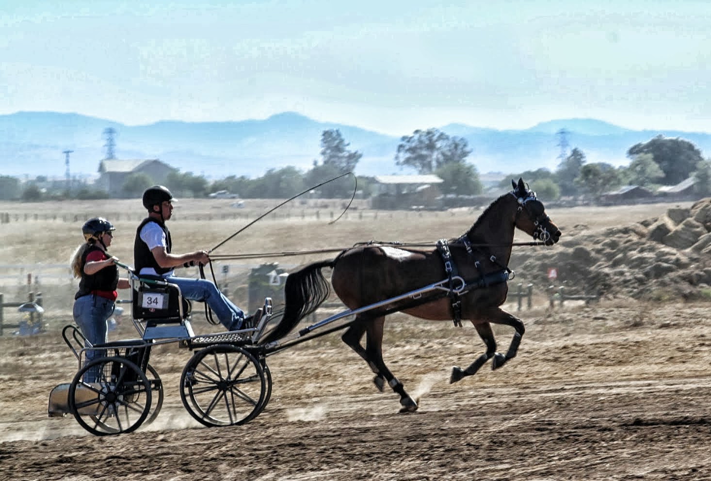 fairbetty's world A Carriage Driving Event (Photos)