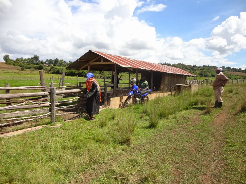 Laikipia Rural Voices (LRV) Group sets sight in reviving neglected