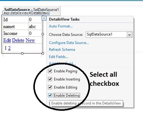 How to Insert,Edit,Delete Record using SqlDataSource in ASP.NET