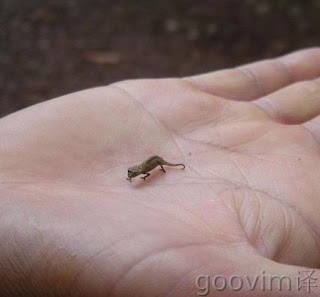 arte en miniatura arte en miniatura