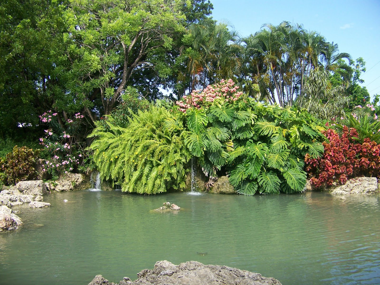 Declarando Las Buenas Noticias Our Visit to the Bethel Branch