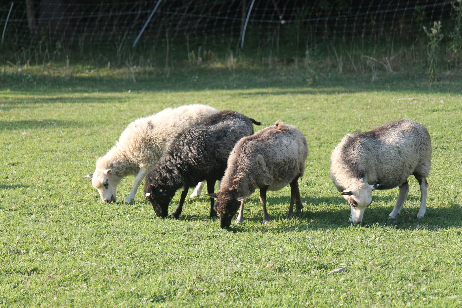 Mapleton Farm Sales List FOR SALE