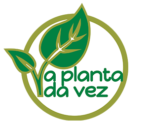 A planta da vez