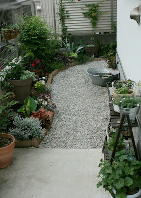 庭の小道