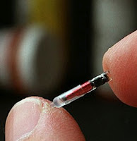 [Imagem: chip+cut%C3%A2neo.jpg]