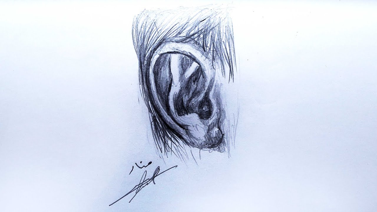 تعلم رسم الأذن للمبتدئين بسهولة اسهل طريقة ممكنة لرسم الأذن كورسات