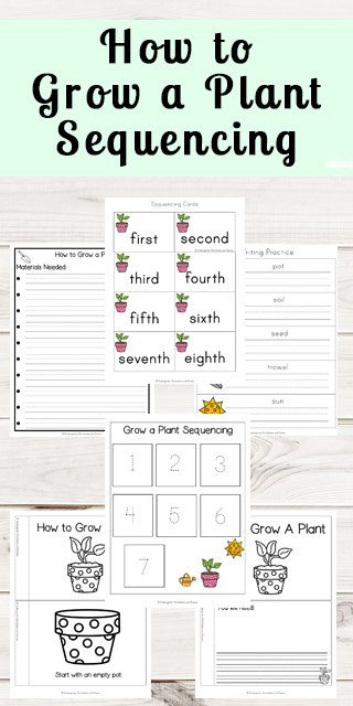 These steps to planting a seed worksheet will help children learn the order in which to grow their own flowers or vegetables and how to care for their plants as well. Use these plant sequencing worksheet pages with pre-k, kindergarten, and first grade students. Simply print pdf file with how plants grow worksheet and you are ready for kindergarten spring.