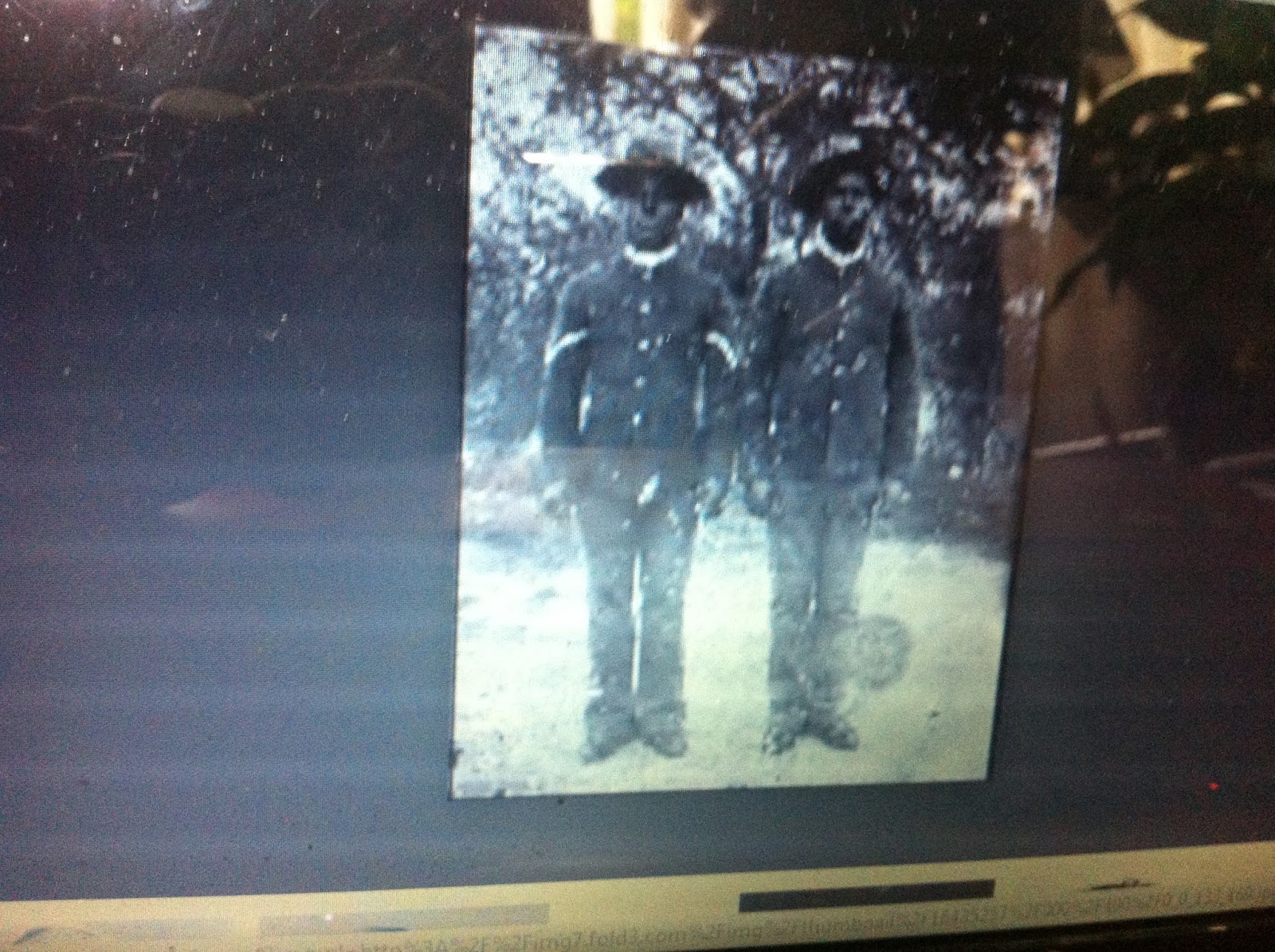 THE BLACK SOCIAL HISTORY BLACK SOCIAL HISTORY AFRICAN AMERICAN