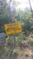 la serra moerinica di ivrea nordic walking