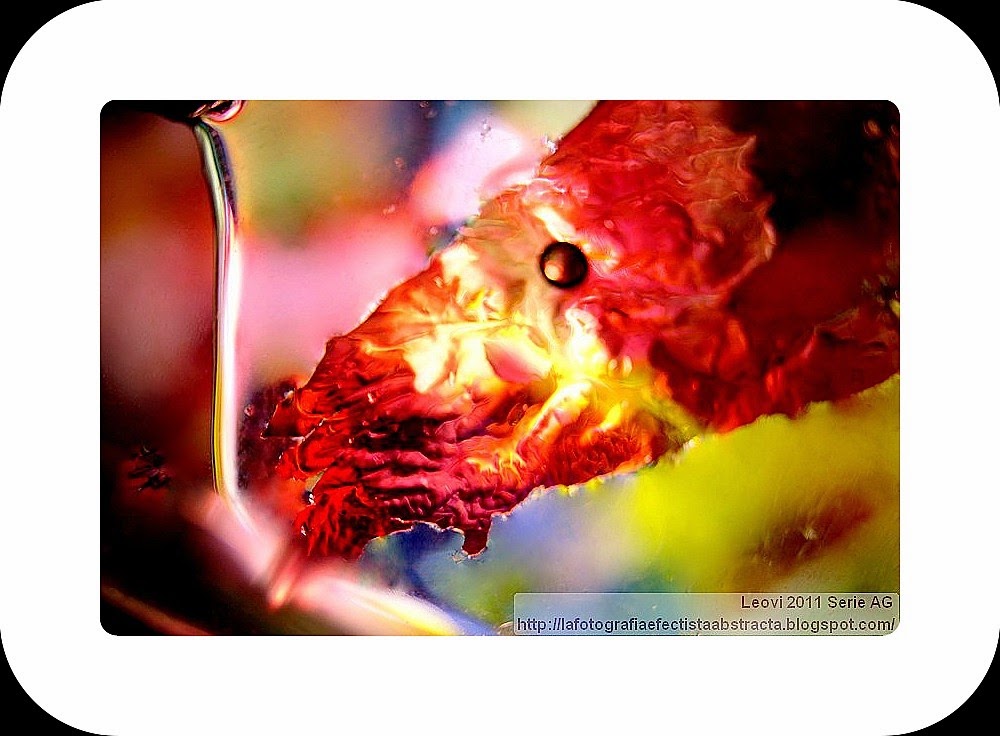 Foto Abstracta 3128 Disfruta de tu interior - Enjoy your inner Foto Abstracta 3128 Disfruta de tu interior - Enjoy your inner