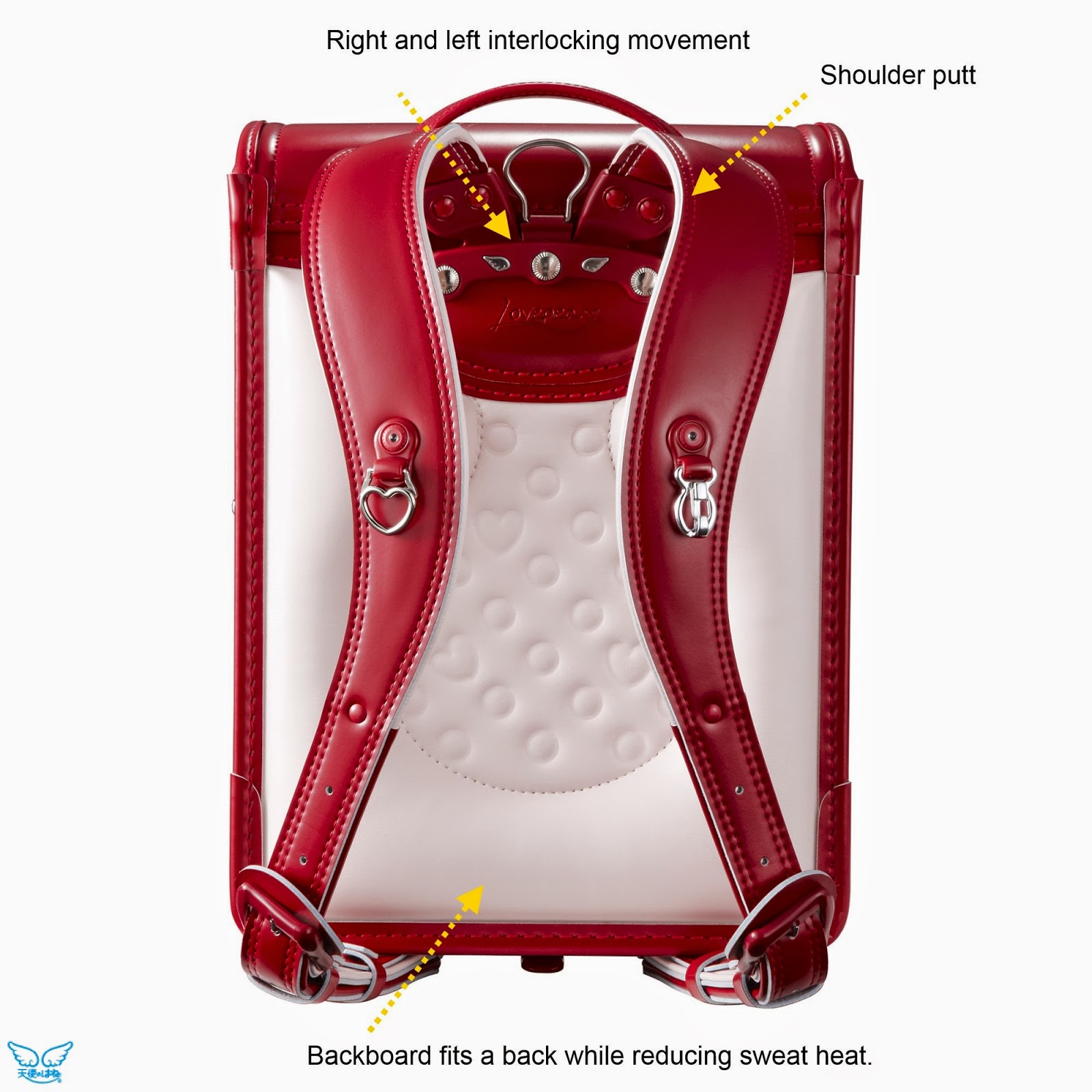 Randoseru/BackPacks Randoseru(Backpack) & The human body