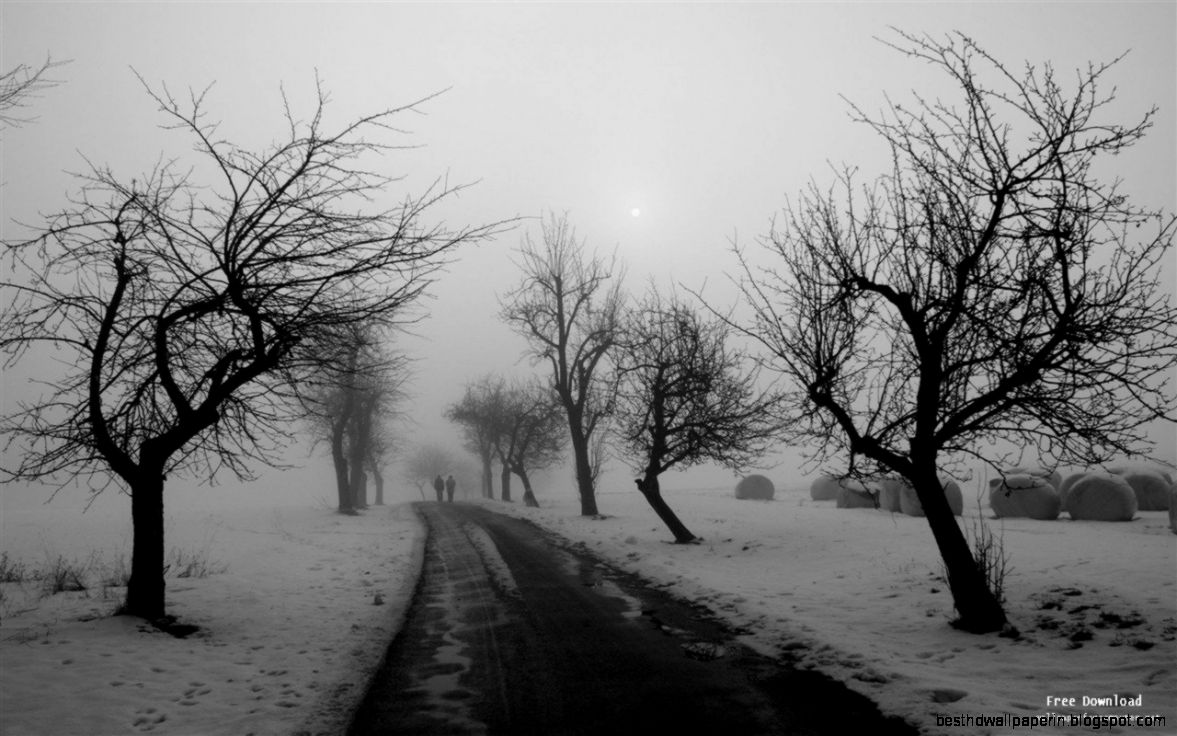 Beautiful Nature Wallpapers  Landscapes Wallpapers » page 51