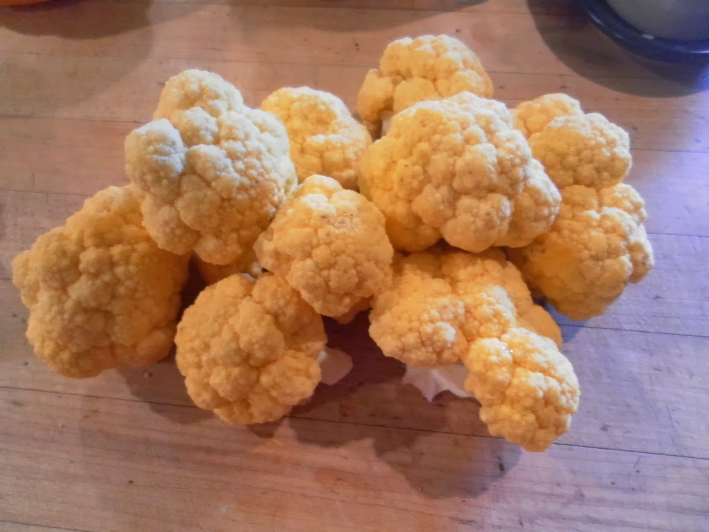 Orange Cauliflower with a Parmesan Cream Sauce