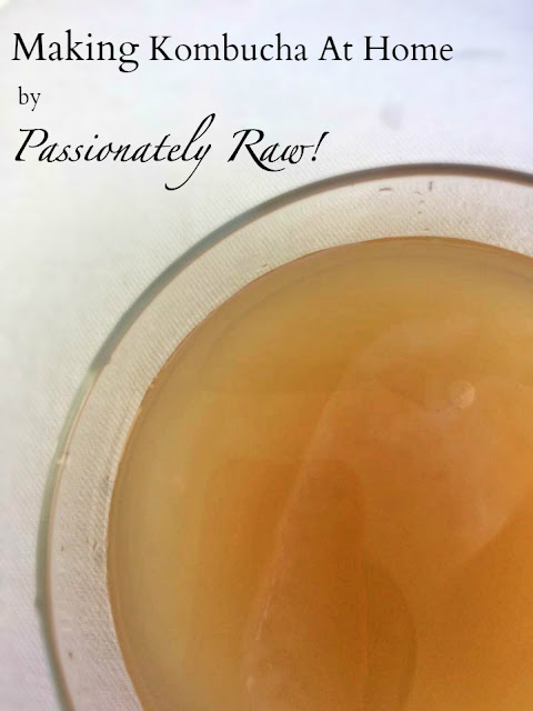 Kombucha Scoby by Passionately Raw!