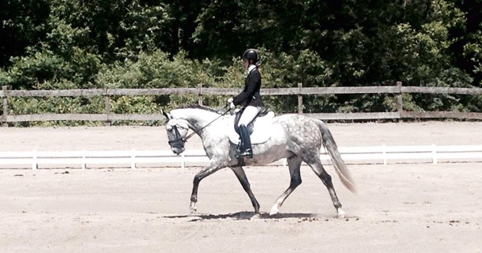 Playland Equestrian Center Horse Boarding, Horse Sales & Horse