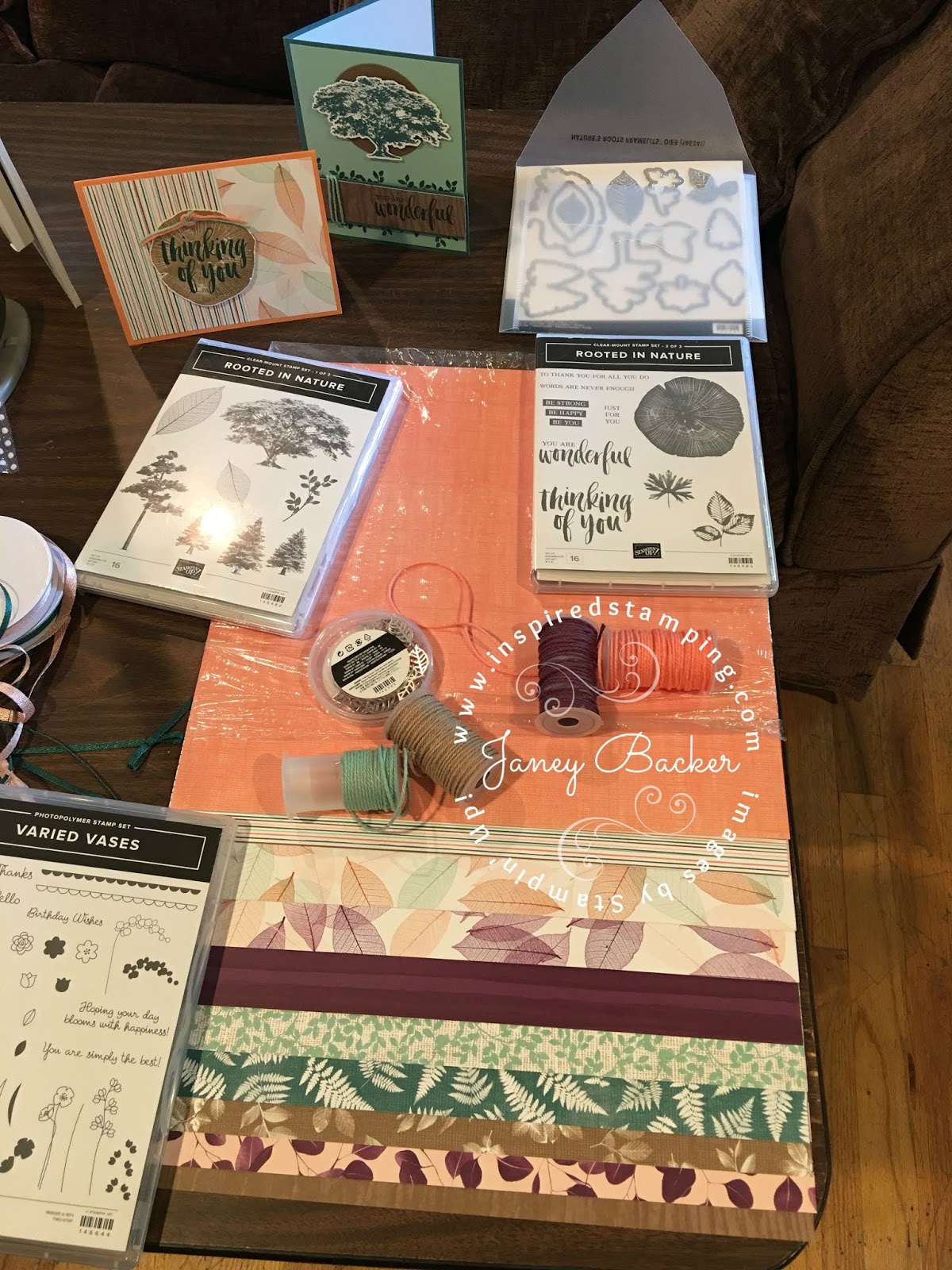 Inspired Stamping by Janey Backer VIP Catalog Launch