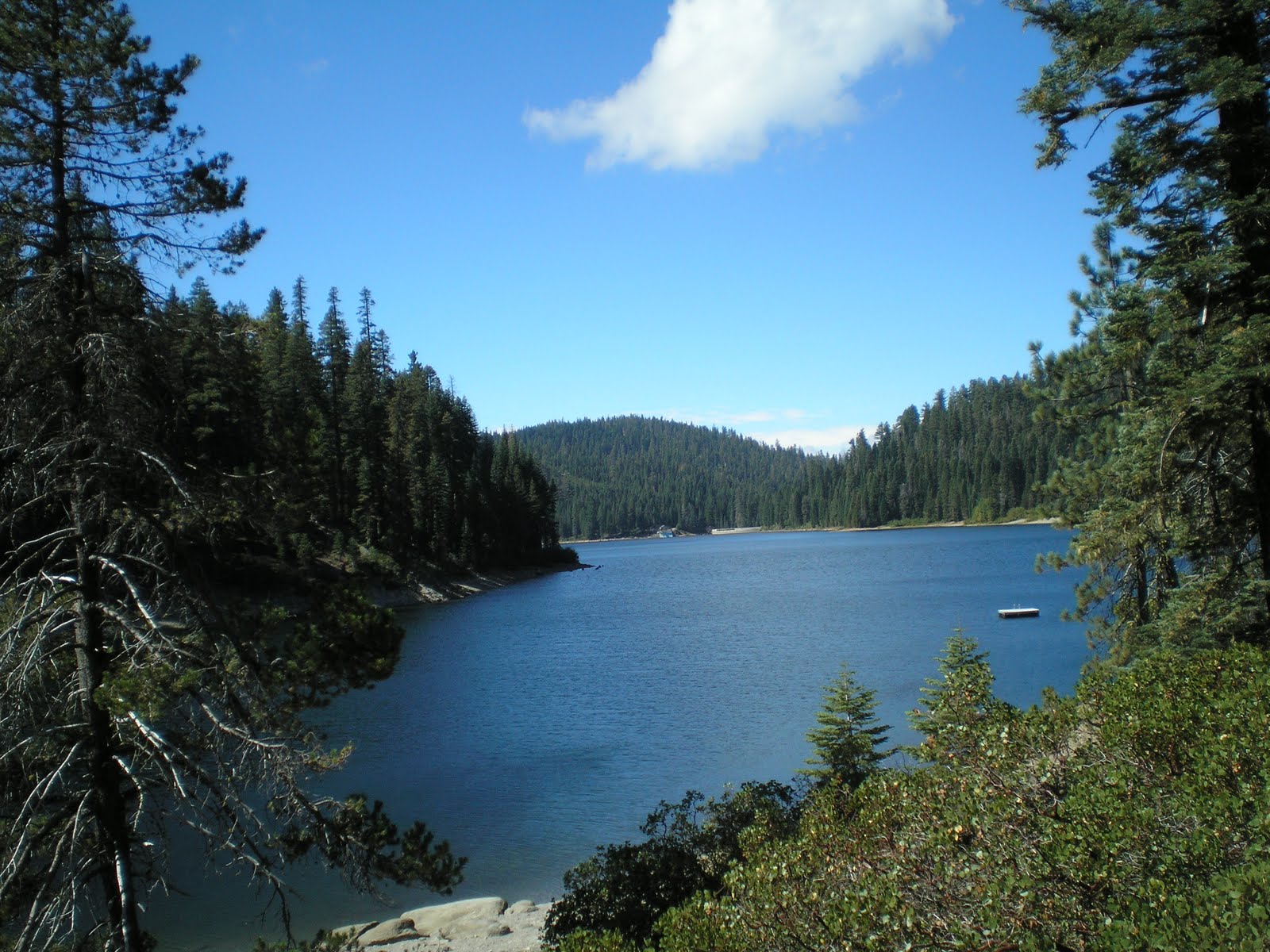 The Road Genealogist Lower Little Truckee CG to Bucks Lake