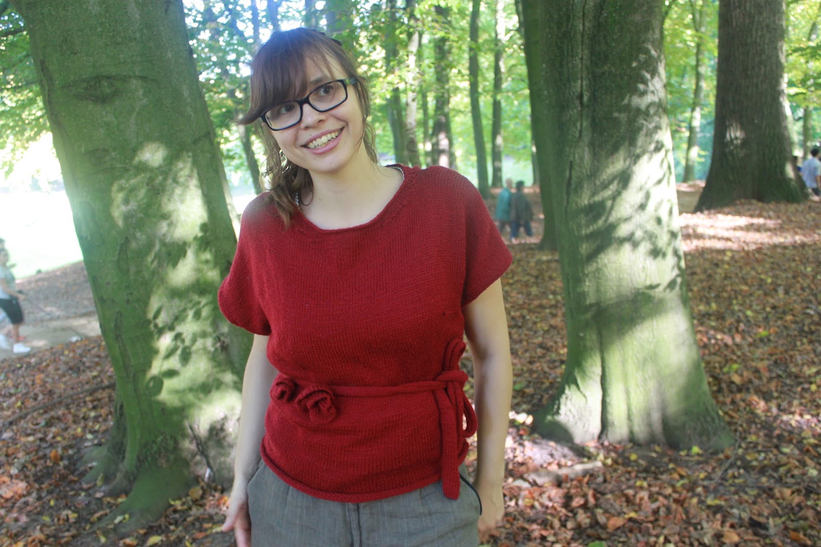 Les aiguilles de Nat: Pull chauve-souris Bergère de France