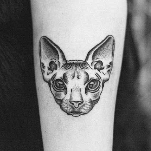 Este donskoy gato
