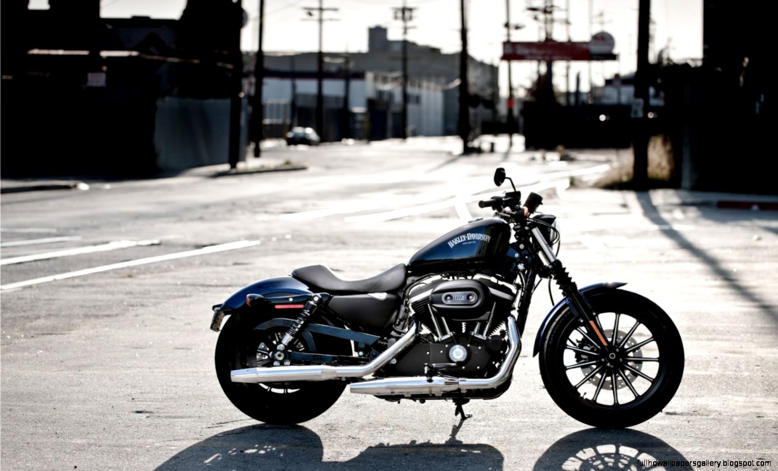 Harley Davidson Iron 883 HD Wallpapers  HD Wallpapers High