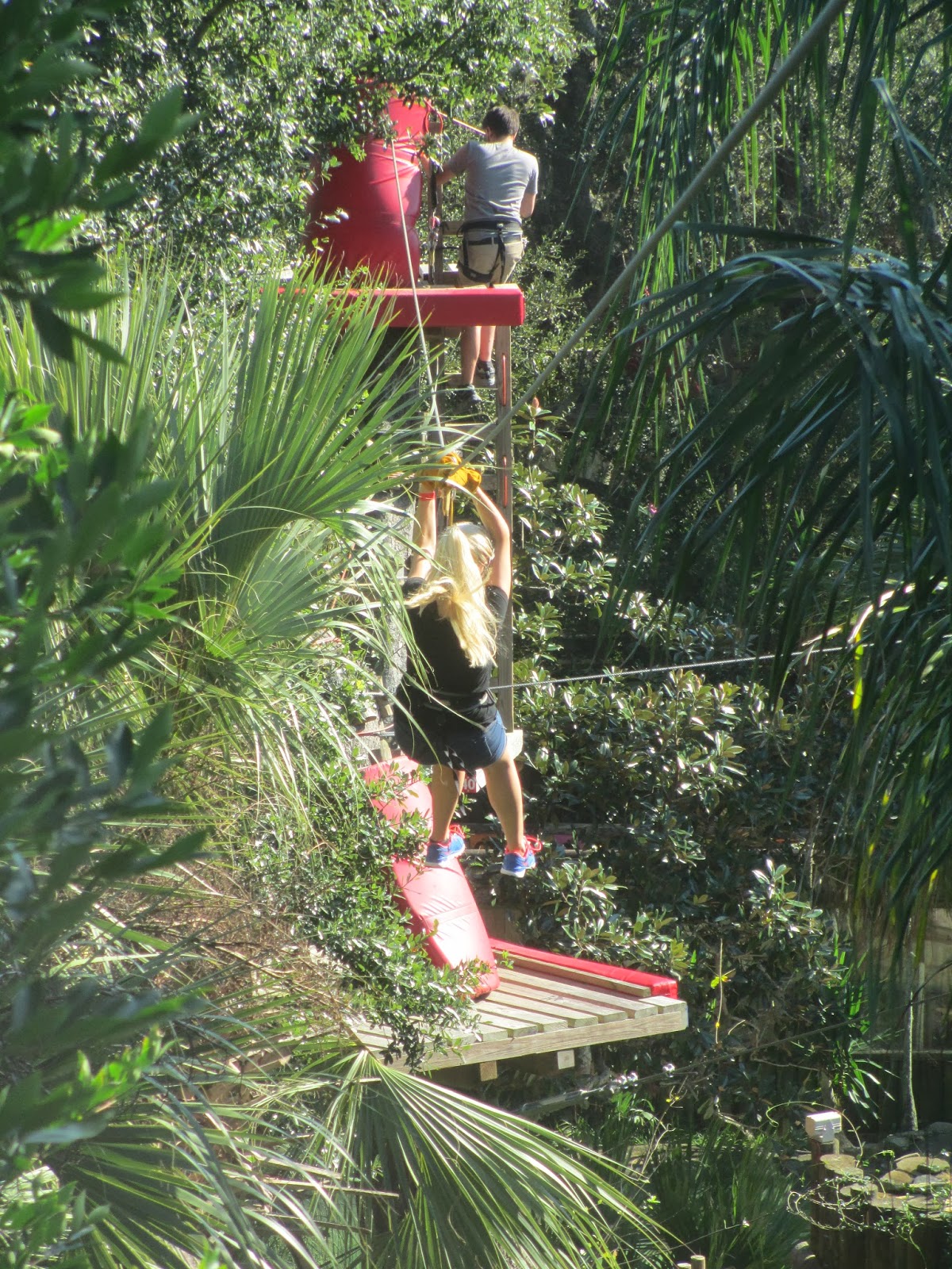 Ziplining Across the USA Friday October 25 Alligator Farm and