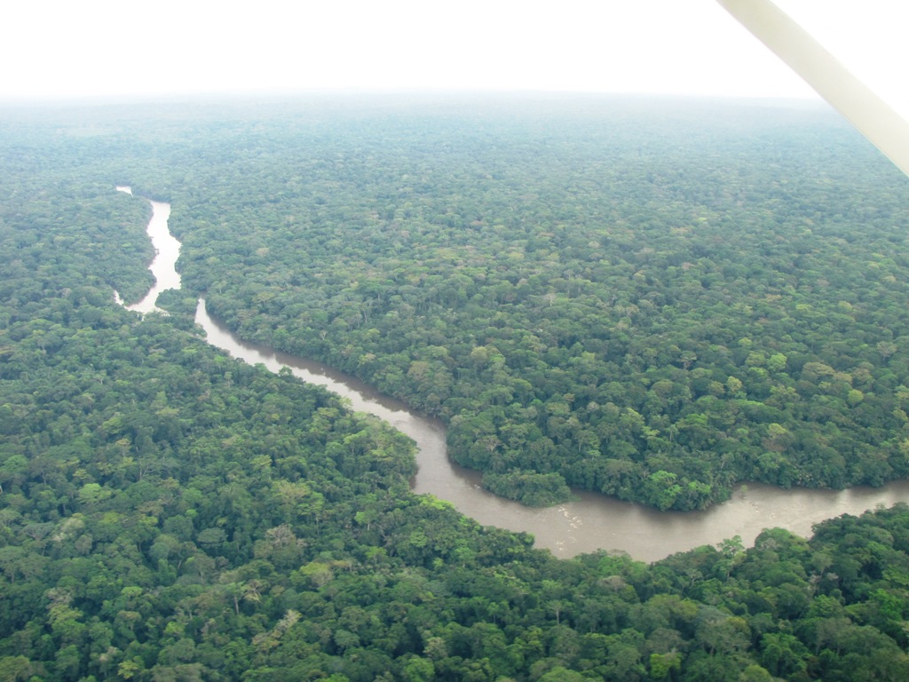 Полноводная река конго. Впадина реки Конго. Национальный парк Салонга. Река Конго национальный парк Салонга. Котловина реки Конго.