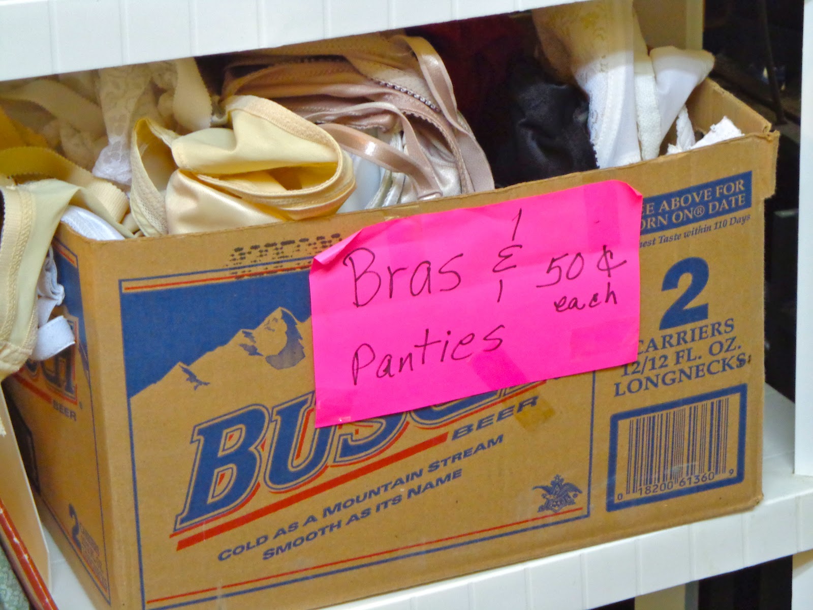 Pocketful of Ginch Used ThriftStore Underwear for the Discerning Woman