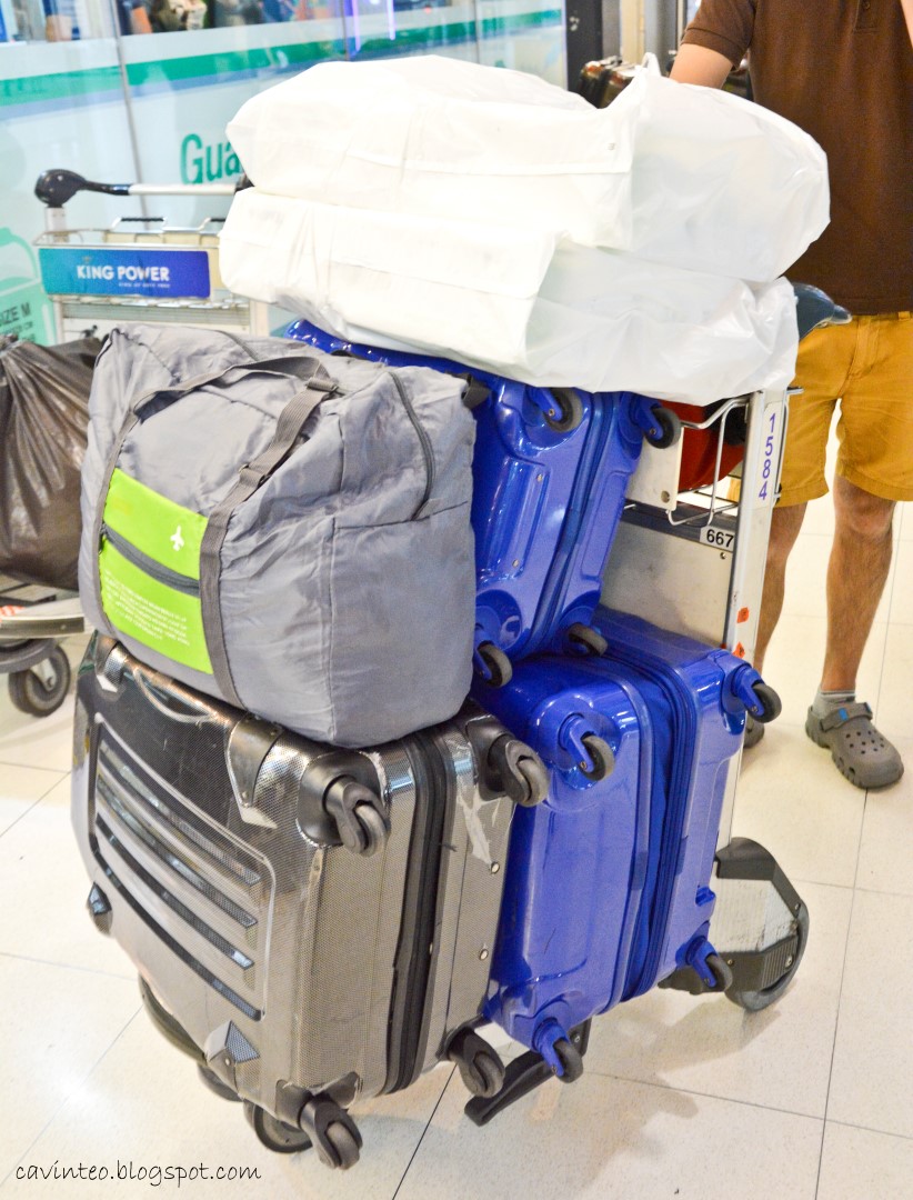 Entree Kibbles Store Your Bulky Baggage While Transiting at