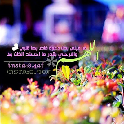 صور جميلة