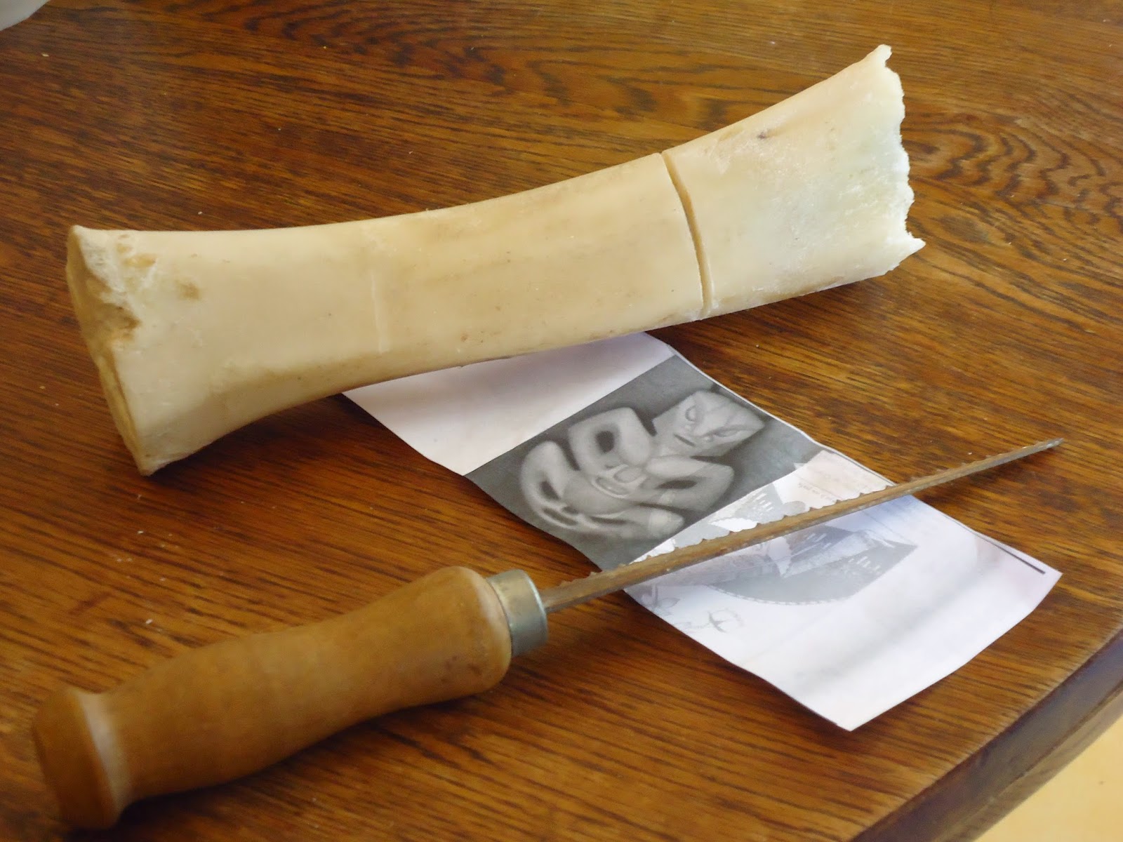 Studying In New Zealand THE BONE CARVER