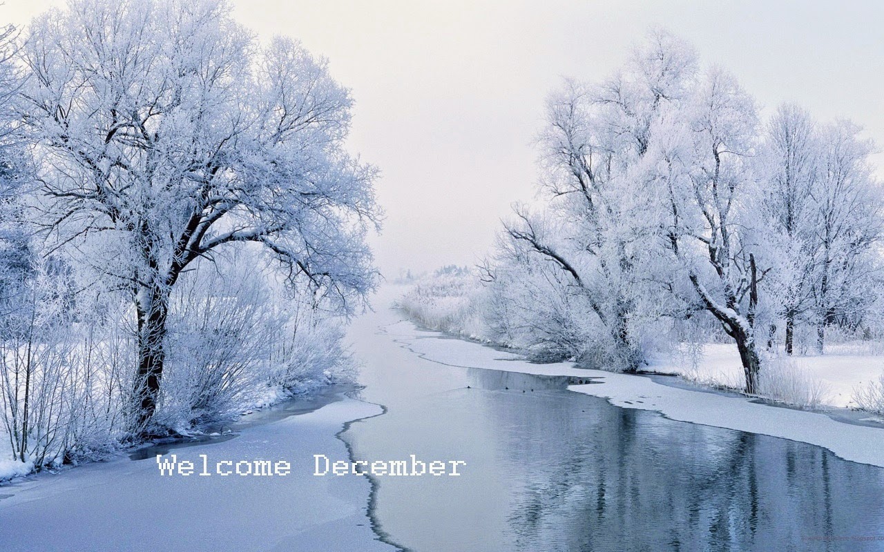 Welcome December 2014 Pics And Wallpapers ~ Snipping World!