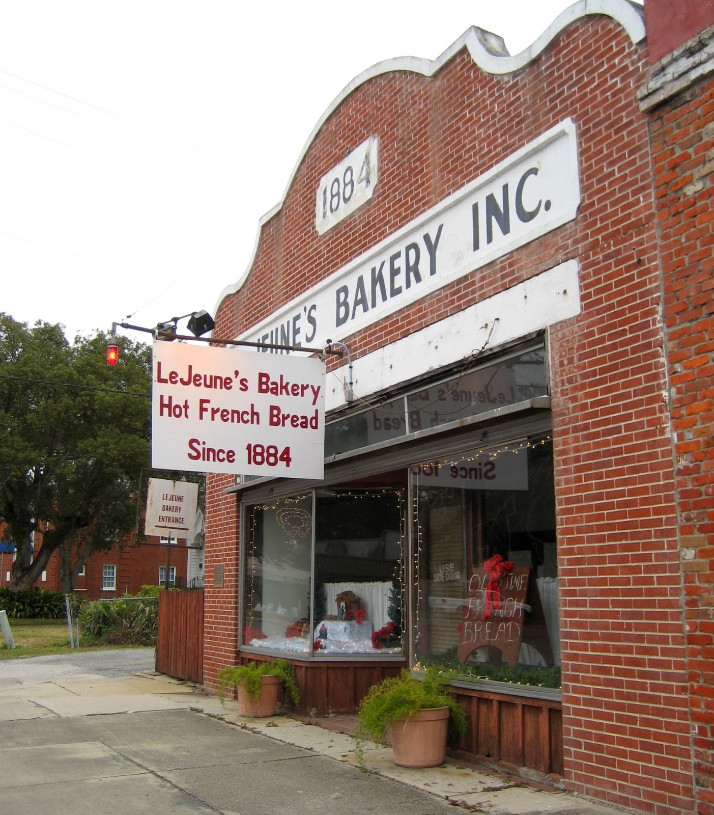 Living Rootless Jeanerette, Louisiana The Flashing Red Light