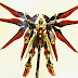 MG 1/100 Strike Freedom Gundam - Custom Build