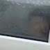 Student Couple Filmed Having Sex Education In A Car