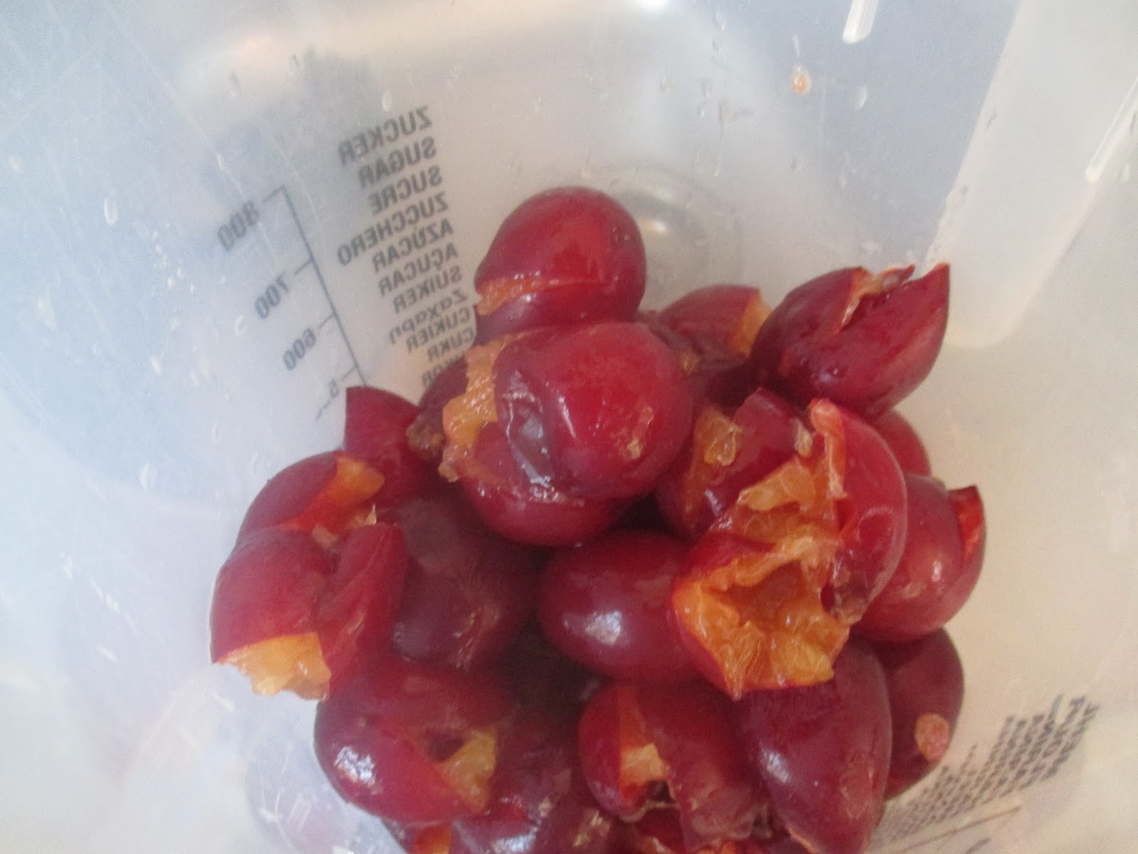 Mirabelleneis ohne Eismaschine – glatzkoch.de