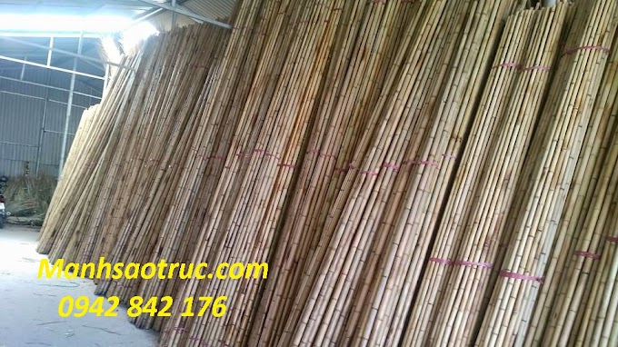 ĐỊA CHỈ BÁN TRE TRÚC GIÁ RẺ TẠI TPHCM NÊN BIẾT